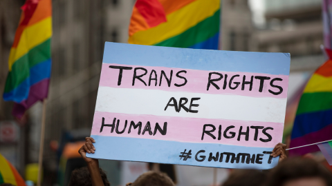 A handheld sign with the trans flag colors of light blue, light pink, and white with "Trans Rights are Human Rights".